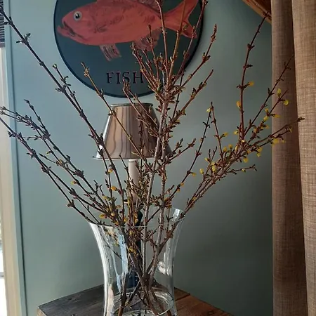 De Verre Kijker Bed and Breakfast 3*