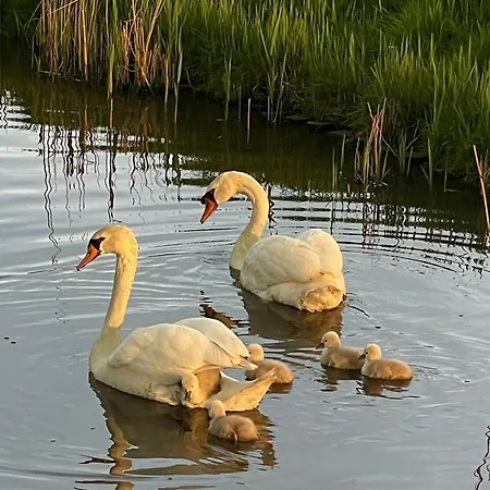 De Verre Kijker Bed & Breakfast 3*