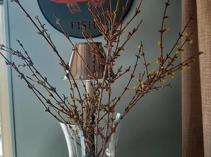 De Verre Kijker Bed & Breakfast 3*