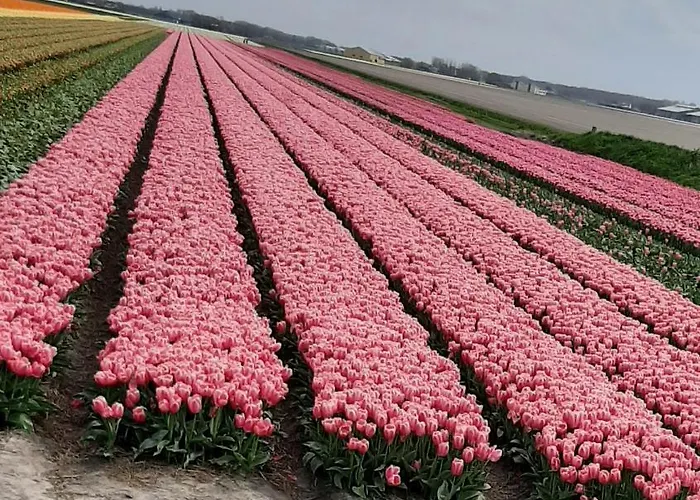 Bed & Breakfast De Verre Kijker