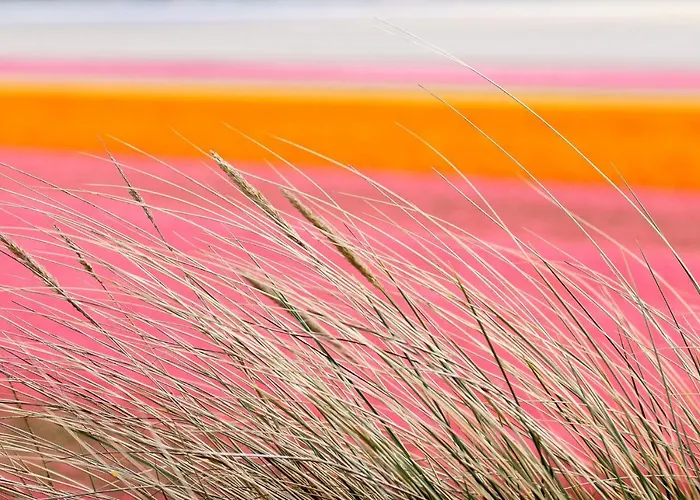 De Verre Kijker Bed & Breakfast 3*