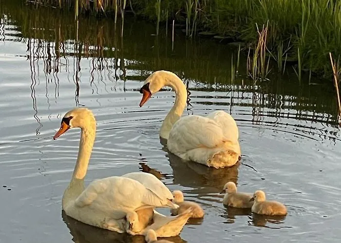 De Verre Kijker Bed & Breakfast 3*