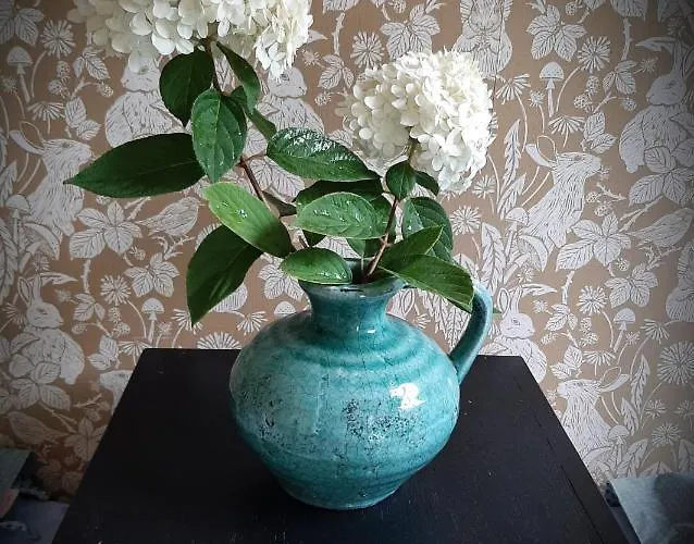 De Verre Kijker Barsingerhorn