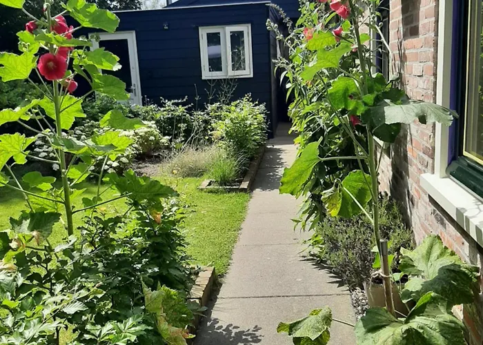 De Verre Kijker Barsingerhorn