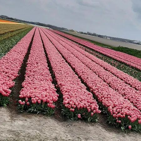Alojamento de Acomodação e Pequeno-almoço De Verre Kijker